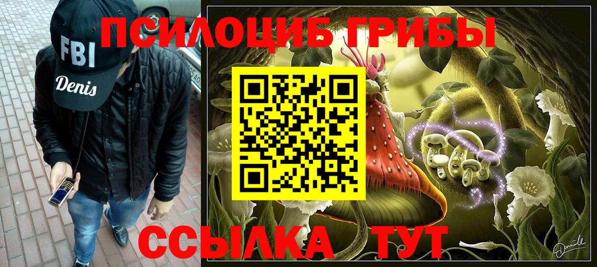 Псилоцибиновые грибы Psilocybine cubensis Кинель