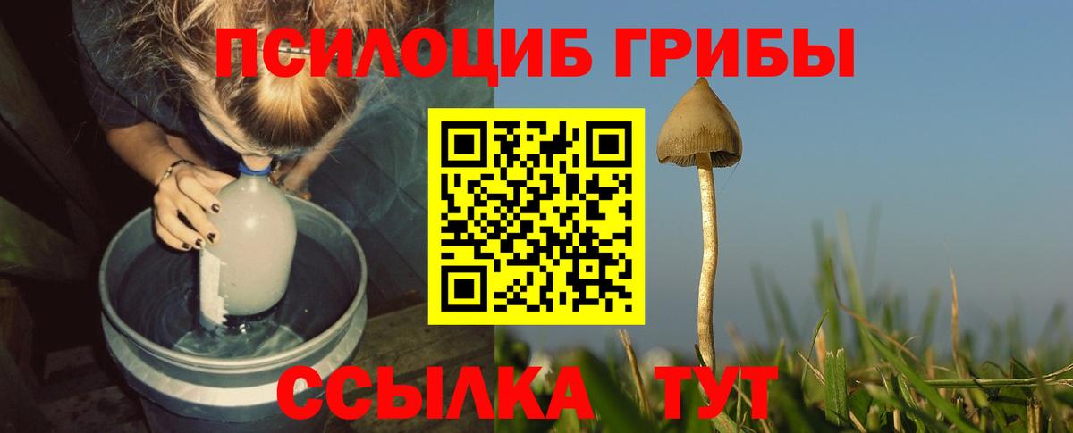 Галлюциногенные грибы Magic Shrooms  Вход с VPN  Кинель  Галлюциногенные грибы Cubensis 